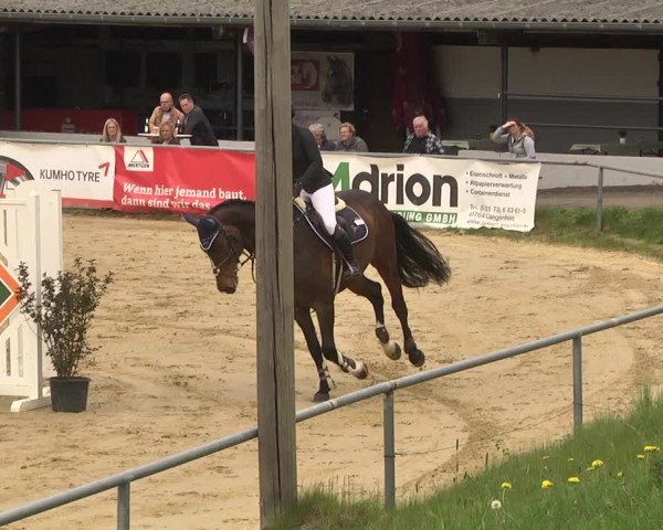 Reitturnier Kurtscheid 2021