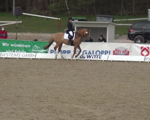 Reitturnier Rastede-Nethen 2021