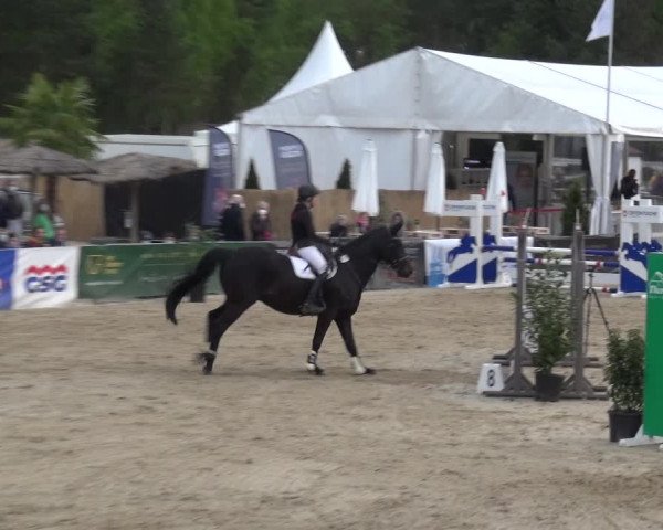 Reitturnier Rastede-Nethen 2021