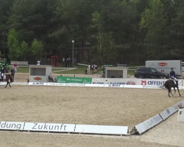 Reitturnier Rastede-Nethen 2021