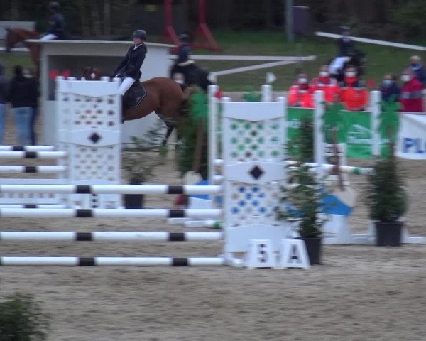Reitturnier Rastede-Nethen 2021