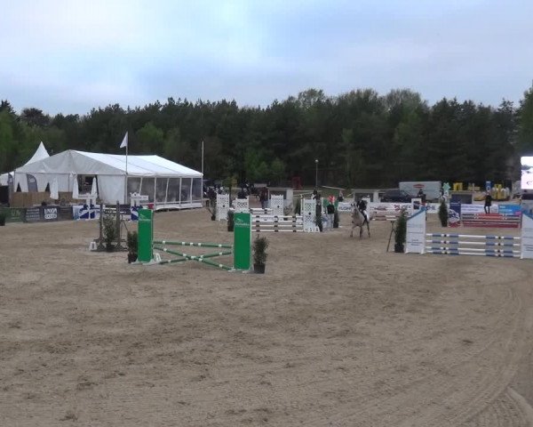 Reitturnier Rastede-Nethen 2021