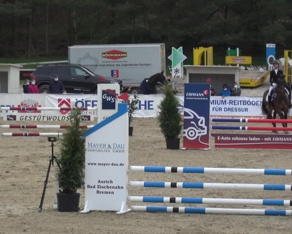 Reitturnier Rastede-Nethen 2021