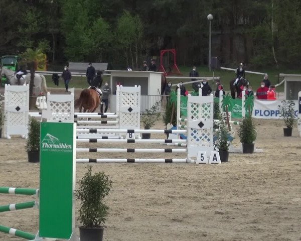 Reitturnier Rastede-Nethen 2021