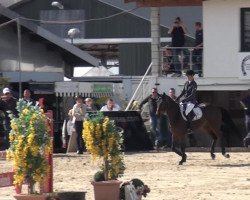 jumper Einstein (Rhinelander, 2009, from Escudo I)