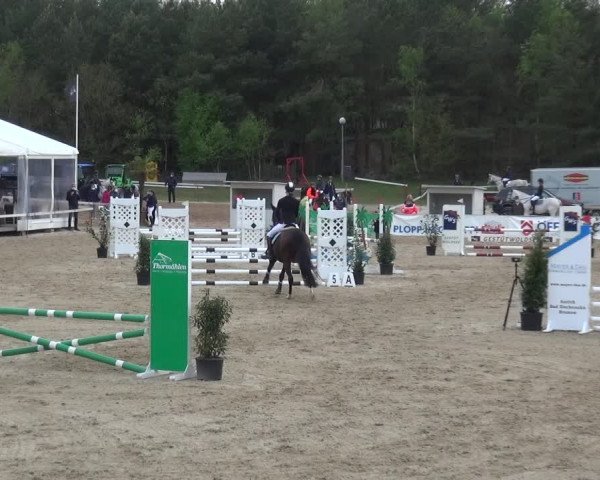 Reitturnier Rastede-Nethen 2021