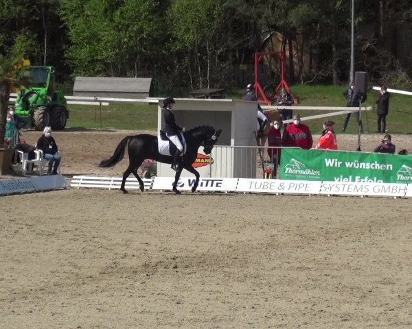 Reitturnier Rastede-Nethen 2021