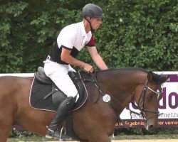 jumper Cassedy N (Holsteiner, 2005, from Casado)