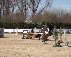 jumper Claire (Rhinelander, 2009, from Coronas 2)
