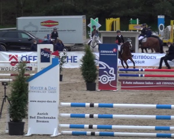Reitturnier Rastede-Nethen 2021