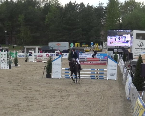 Reitturnier Rastede-Nethen 2021