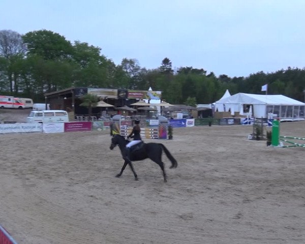 Reitturnier Rastede-Nethen 2021