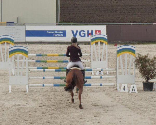 Reitturnier Harsum-Hüddessum 2021