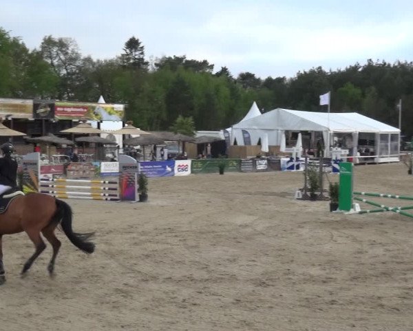 Reitturnier Rastede-Nethen 2021