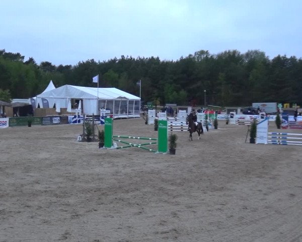Reitturnier Rastede-Nethen 2021