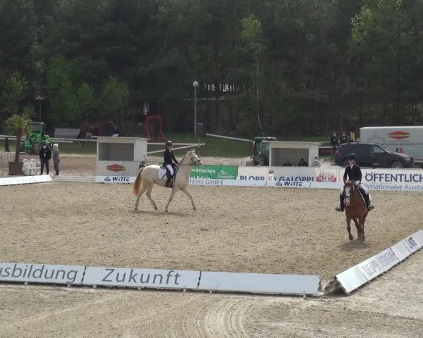 Reitturnier Rastede-Nethen 2021