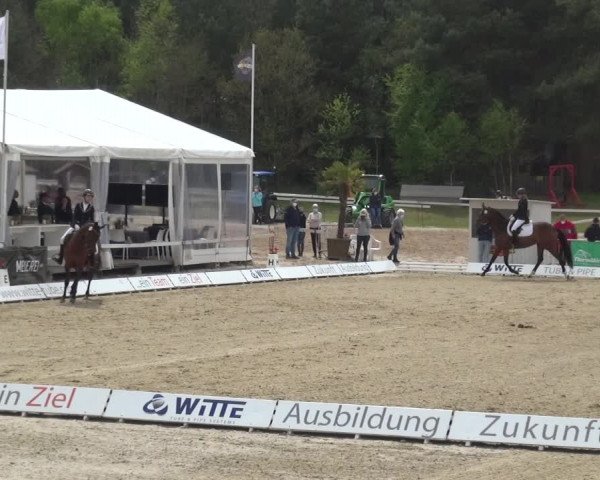 Reitturnier Rastede-Nethen 2021