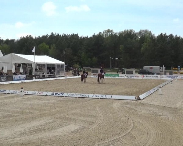 Reitturnier Rastede-Nethen 2021