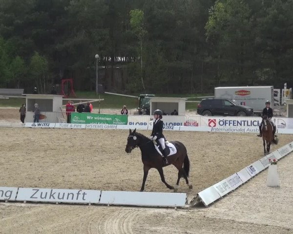 Reitturnier Rastede-Nethen 2021