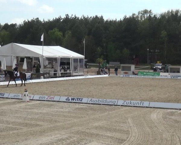 Reitturnier Rastede-Nethen 2021