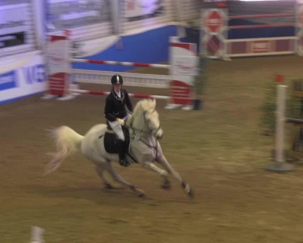 jumper Christopher 8 (Westphalian, 1999, from Coronino)