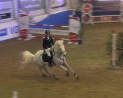 jumper Christopher 8 (Westphalian, 1999, from Coronino)
