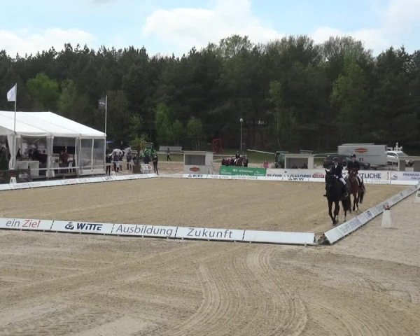 Reitturnier Rastede-Nethen 2021