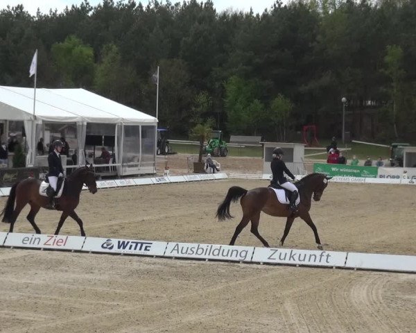 Reitturnier Rastede-Nethen 2021