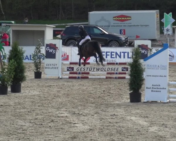 Reitturnier Rastede-Nethen 2021
