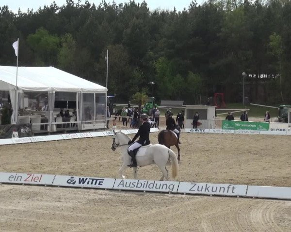 Reitturnier Rastede-Nethen 2021