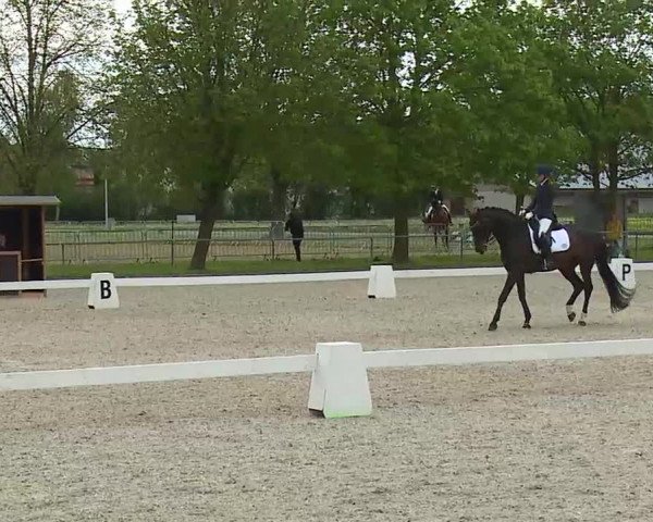 Reitturnier Rot am See- Musdorf 2021