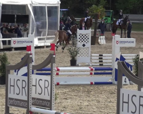 Reitturnier Rastede-Nethen 2021