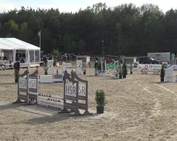 Reitturnier Rastede-Nethen 2021