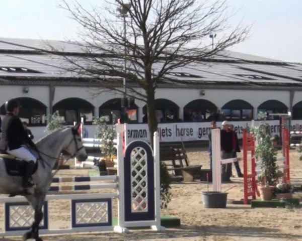 Cavallo da Dressage Julio (sconosciuto, 2009)