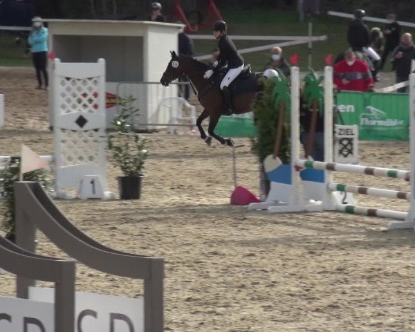 Reitturnier Rastede-Nethen 2021