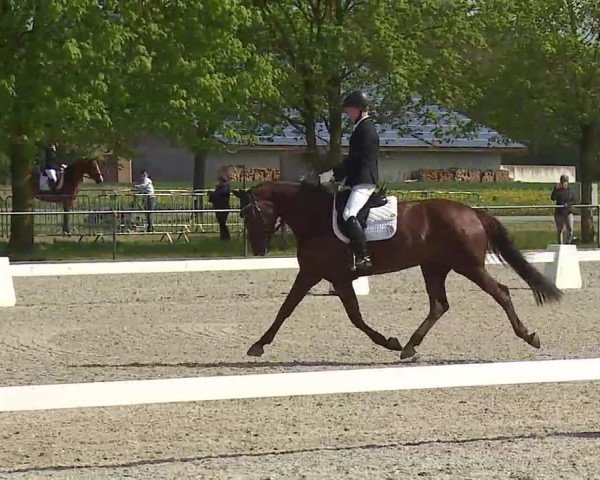Reitturnier Rot am See- Musdorf 2021