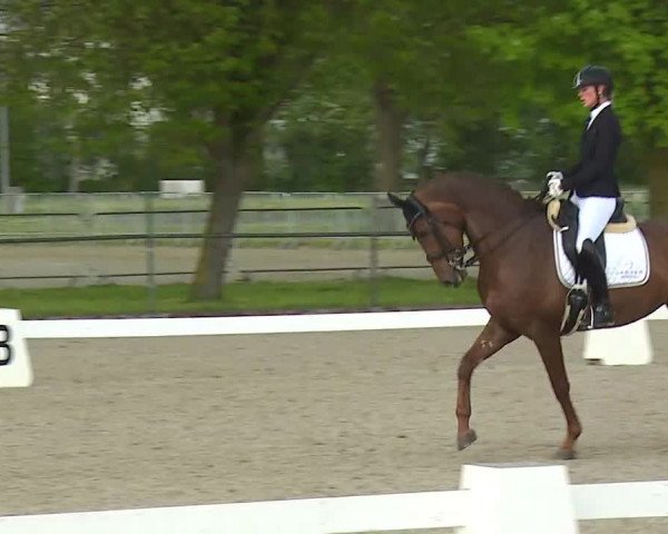 Reitturnier Rot am See- Musdorf 2021