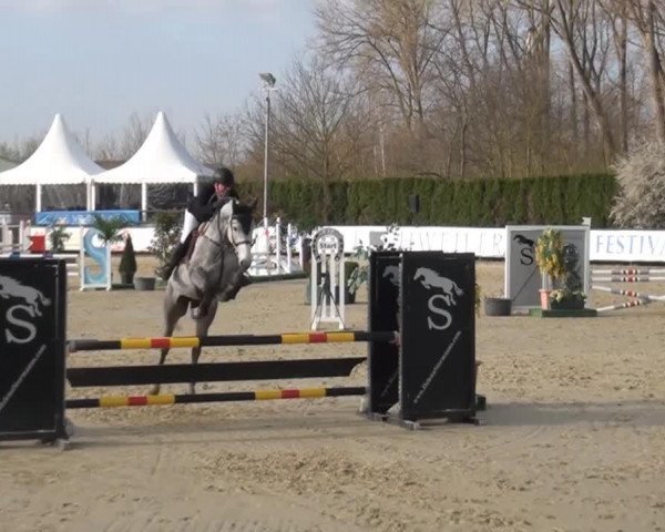 broodmare Atlanta K (Rhinelander, 2009, from Acorado's Ass)