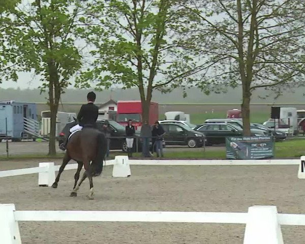 Reitturnier Rot am See- Musdorf 2021