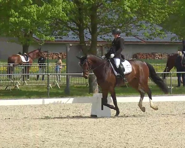 Reitturnier Rot am See- Musdorf 2021