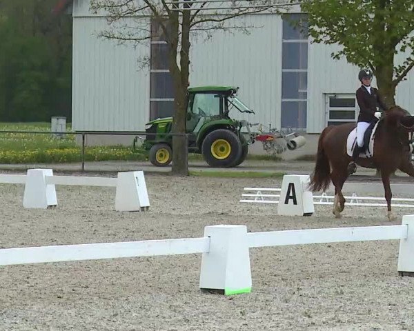 Reitturnier Rot am See- Musdorf 2021