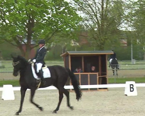 Reitturnier Rot am See- Musdorf 2021