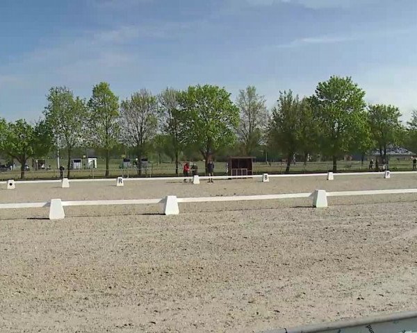 Reitturnier Rot am See- Musdorf 2021
