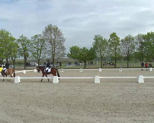 Reitturnier Rot am See- Musdorf 2021