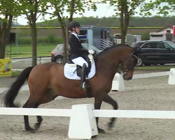 Reitturnier Rot am See- Musdorf 2021