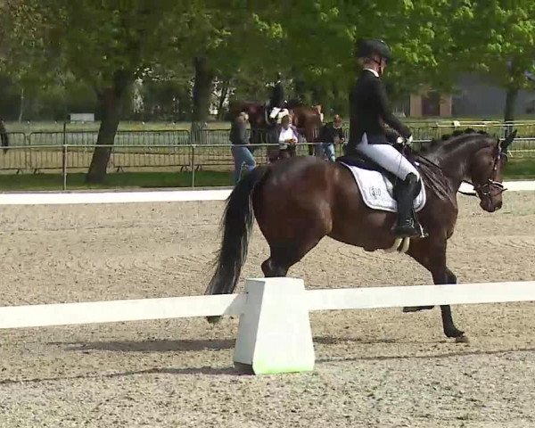 Reitturnier Rot am See- Musdorf 2021