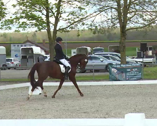 Reitturnier Rot am See- Musdorf 2021