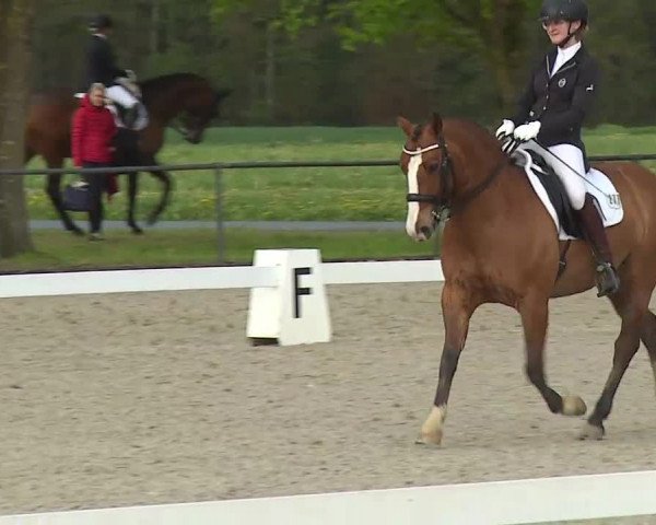 Reitturnier Rot am See- Musdorf 2021