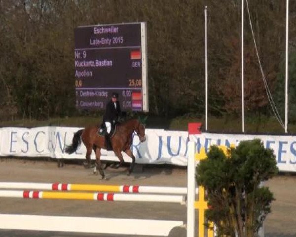 jumper Apolion (Estonian Sport, 2010, from Timpex Apoleon)