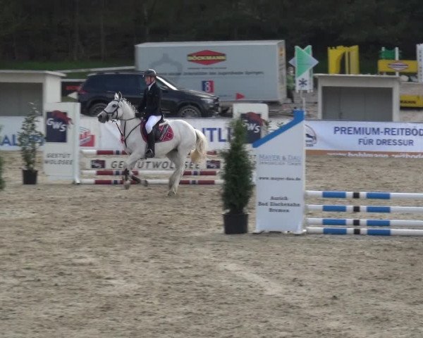 Reitturnier Rastede-Nethen 2021
